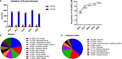 Four Types of ST11 Novel Mutations From Increasing Carbapenem-Resistant Klebsiella pneumoniae in Guangdong, 2016–2020